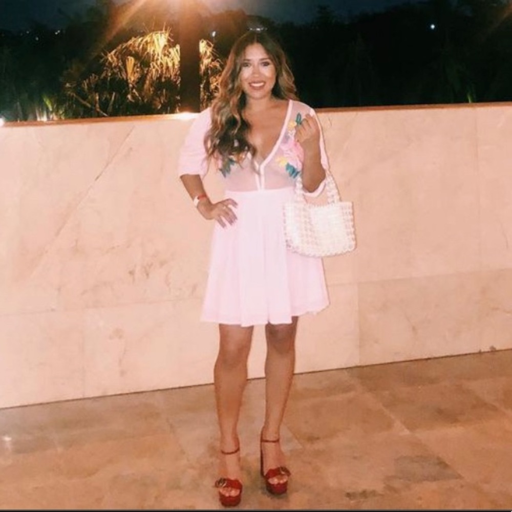 Cleobella Embroidered Flower Sheer Top mini dress